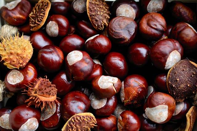 Castagne in 5 minuti? Assolutamente si, il trucco che devi conoscere