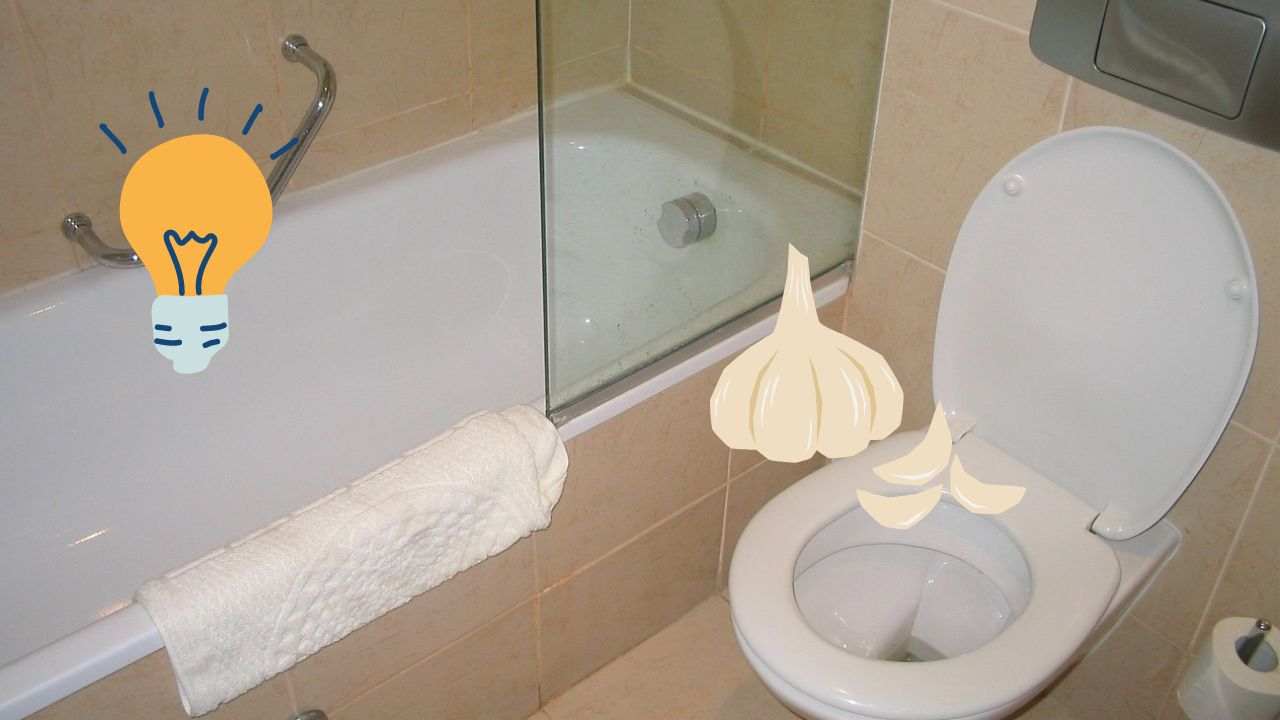 Wc: il trucco che non ti aspetti | Costa pochissimo