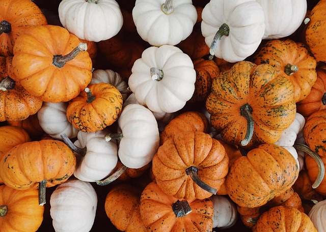 Frittelle di zucca: i bambini ne andranno pazzi