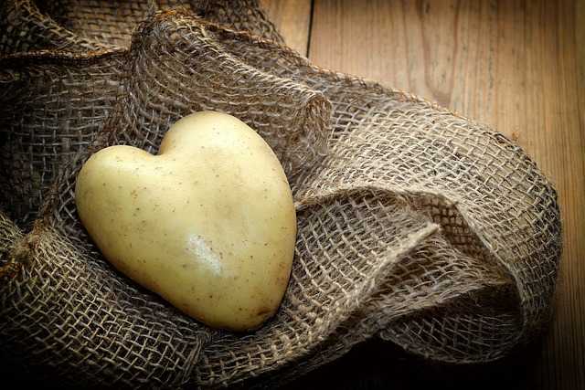 Piadelle ripiene: la ricetta che tutti vogliono fare