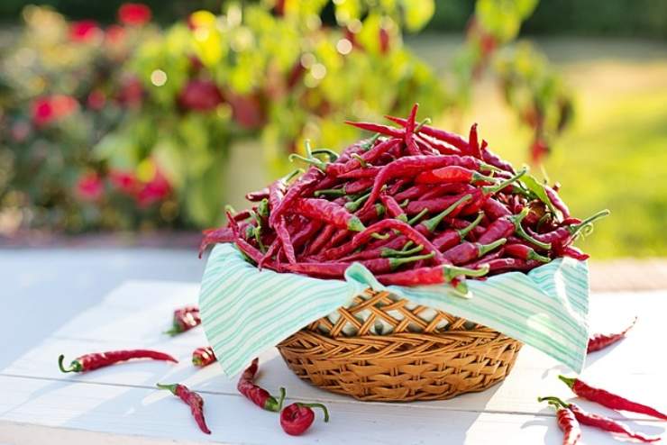 Peperoncino: questa informazione ti salverà la vita !