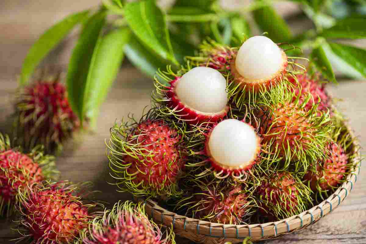 Rambutan, frutto tropicale del sud-est asiatico: benefici