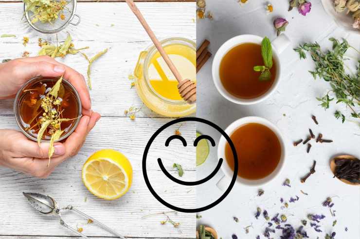 Tisane per perdere peso dopo le feste? | Eccole