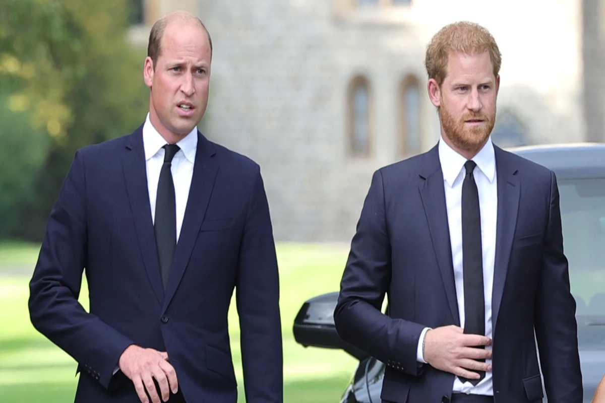 Harry e William: rapporto ai ferri corti? | Non sopravviverà