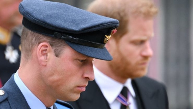 Harry e William: rapporto ai ferri corti? | Non sopravviverà