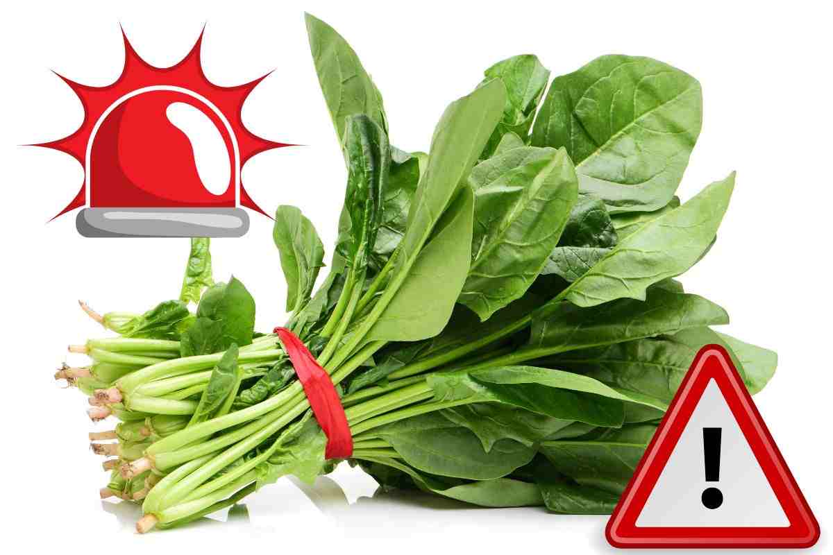 Spinaci allerta richiamo alimentare | Cosa sta succedendo