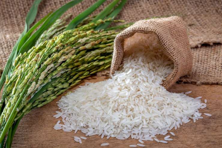 Il riso va lavato prima di cuocerlo? | la risposta che non ti aspetti