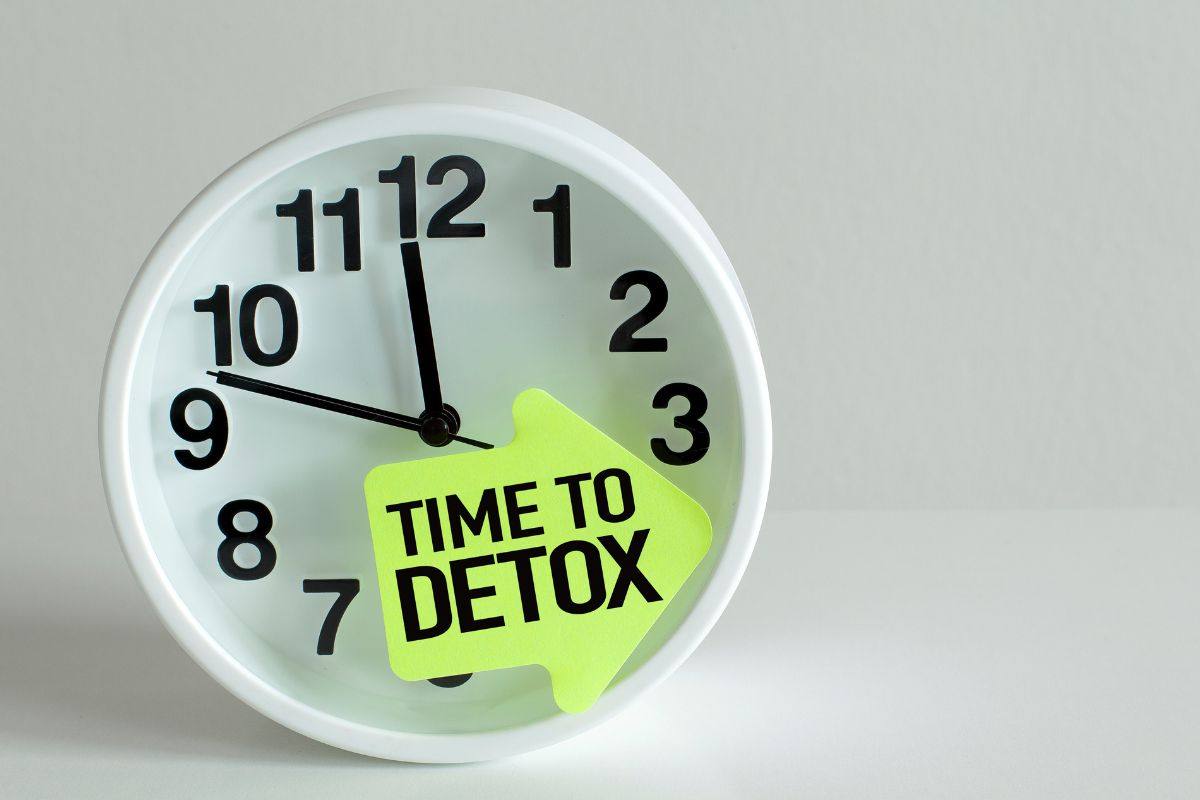 Tisana detox come prepararla? | I rimedi che funzionano