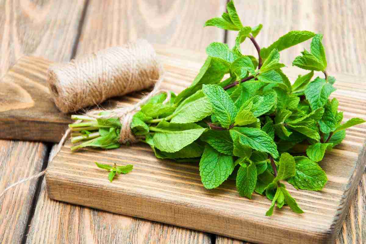 menta rimedi in casa