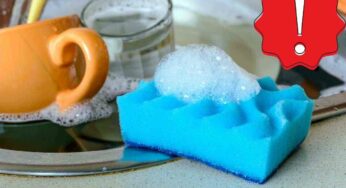 Disinfetta veramente la spugna per i piatti così: non ti pentirai