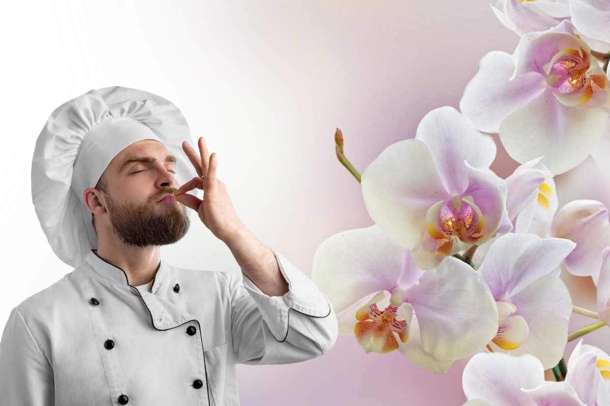 orchidee ricetta