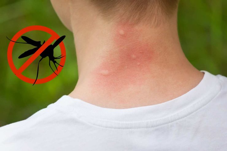 basta zanzare
