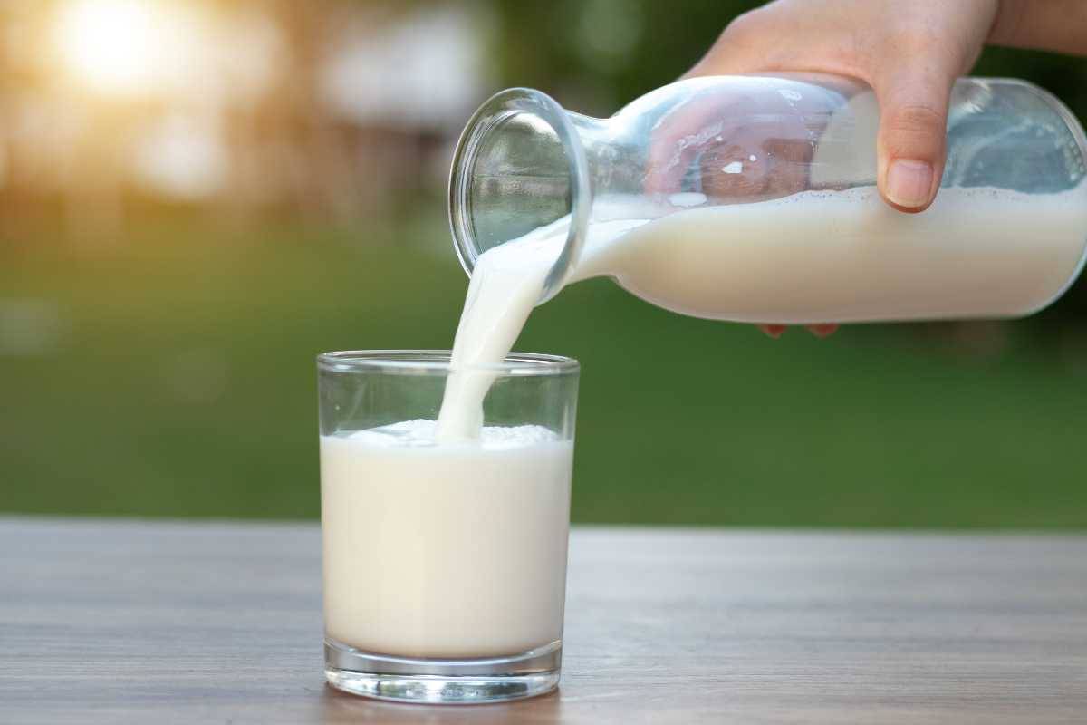 latte ogni quanto bere