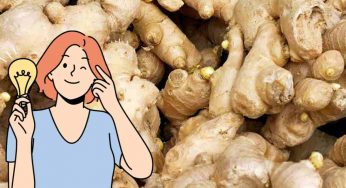 Zenzero: mangiane un po’ al giorno. Il tuo corpo rimarrà senza parole