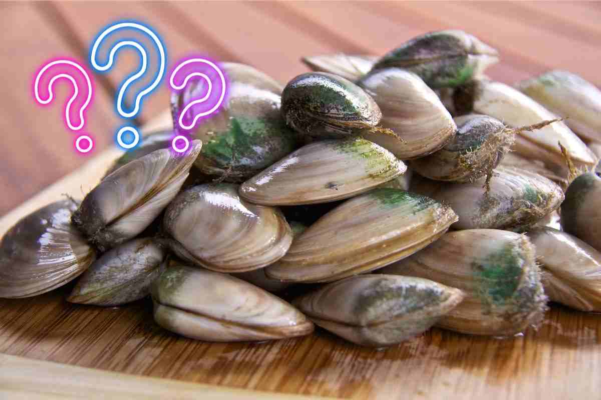 crostacei molluschi effetti benefici colesterolo
