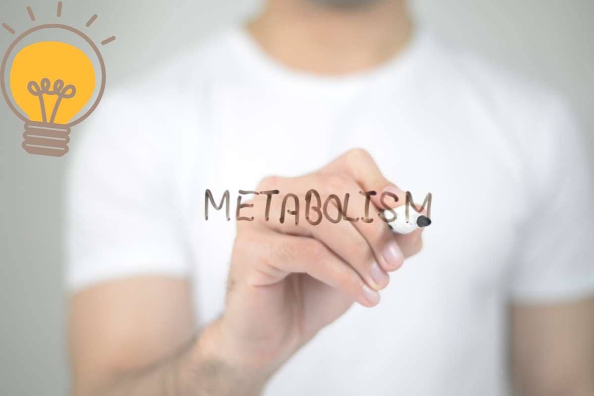 metabolismo lento cosa fare