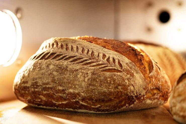 pane raffermo utilizza l'acqua